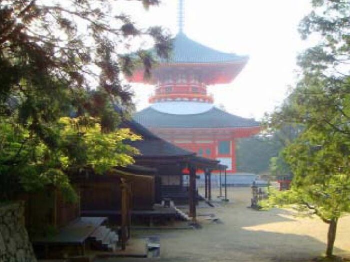 Dharma Connection 2007