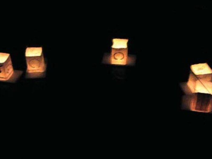 Dharma Connection 2009