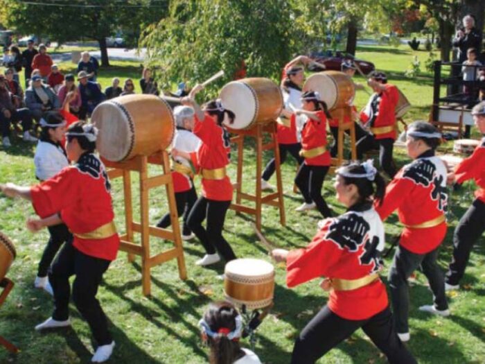 Dharma Connection 2010